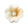 Natalia small beige