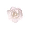 Wafer rose Chinese medium white