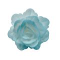 Wafer rose Chinese medium blue shaded