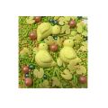 Sprinkle with pearl rice poppy seed mix 60 g