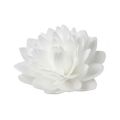 Wafer dahlia maxi white 12.5 cm