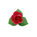 The bud on the leaf is red