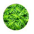 Palm leaf sprinkle 40 g