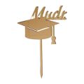 Abschlussplakette MUDr., goldenes Acryl, 10 x 7,5 cm