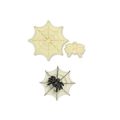 Spider and cobweb cutter