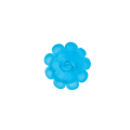 Englische mittelblaue Oblatenrose