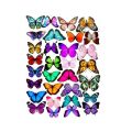 Wafer - Colorful butterflies A4