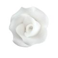 Mittelweiße Rose