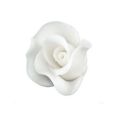 Kleine weiße Rose