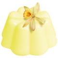 Puding VANILKA Liana 1kg