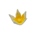 Small yellow lily