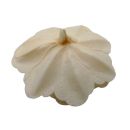 Wafer rose Chinese large cream