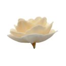 Wafer rose Chinese large cream