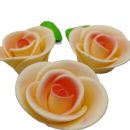 Rose large pearl set orange 9 pcs