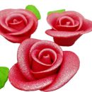 Rose large silver-plated set red 9 pcs