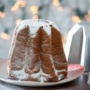 Forma na bábovku kovová PANDORO 1 kg