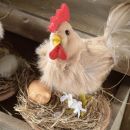 Eine Henne in einem Strohnest mit einem Ei