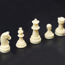 Silicone chess mold 16 pcs