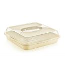 Dessert container with lid, low