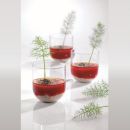 Verrine dessert glass 60 ml