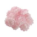 Wafer rose English medium pink shaded