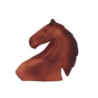 A horse