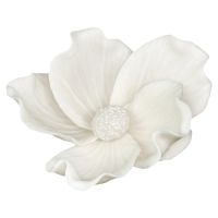 Divoká ruža biela