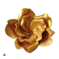 Golden eustoma