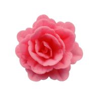 Wafer rose Chinese medium pink