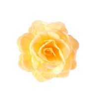 Wafer rose Chinese large tea