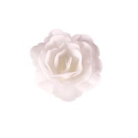 Oblátková ruža čínska stredná biela