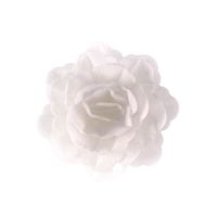 Oblátková ruža čínska veľká biela