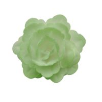 Wafer rose Chinese medium green shaded