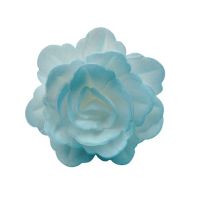 Oblátková ruža čínska stredná modrá tieňovaná
