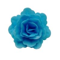 Oblátková ruža čínska stredná modrá
