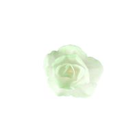 Oblátková ruža čínska malá zelená tieňovaná