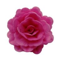 Waffelrose Chinesisch groß fuchsia