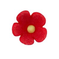 Kvet mini červený