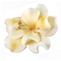 Magnolienbeige