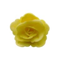 Oblátková ruža čínska malá žltá