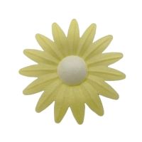 Wafer daisy yellow