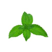 Aroma pepermint 70% 100 ml