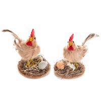 A hen in a straw nest with an egg