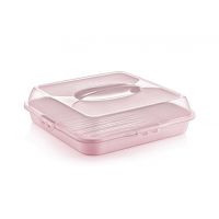 Dessert container with lid, low