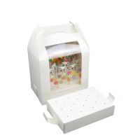 Cake pops box