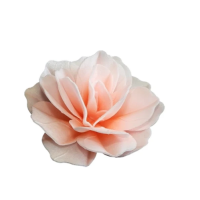 Wafer rose Chinese maxi white-salmon