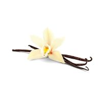 Aróma Vanilka 40% 100ml