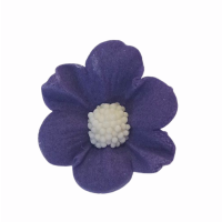 Natalia small purple