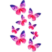 Lila pillangók 8 db