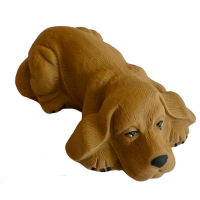 Brązowy pies leżący